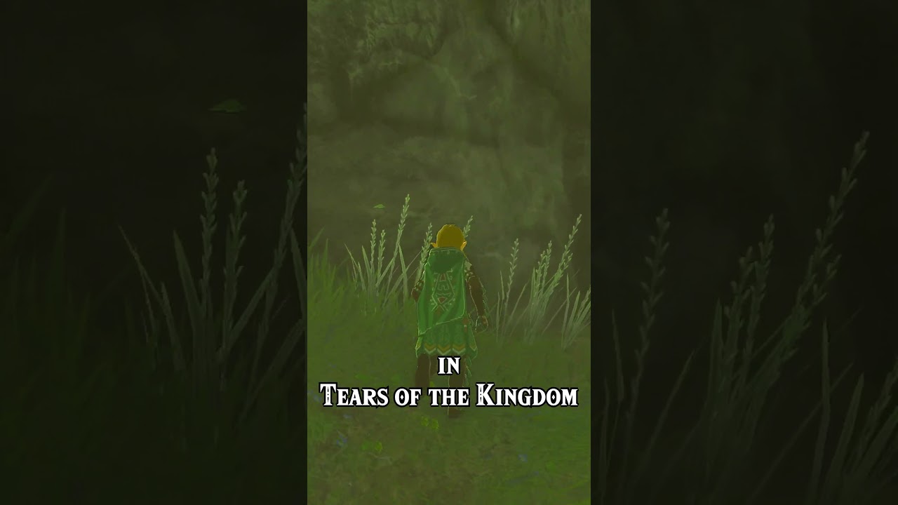 I found another SECRET CAVE in Tears of the Kingdom