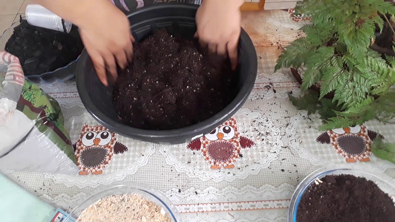 Renda portuguesa troca de cuia