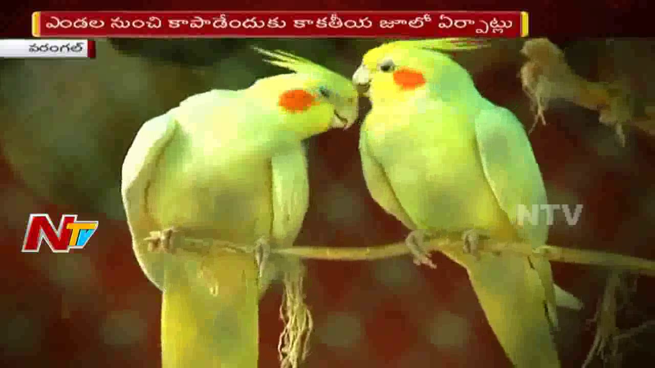 Summer Heat Problems For Animals In Kakatiya Zoo Hanamkonda || Forest Officers Alternative Plans