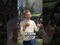 Shake Shack Exclusive Masters Menu NYC Only Is It Worth $5