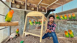 Master Cage Parrots Sy Bhar Diya 🦜