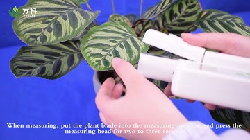 Operating course of chlorophyll meter