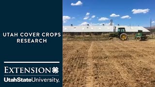 Performance of Utah Cover Crops