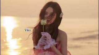 Giấc Mơ Tình Yêu (Lyrics) _ Mỹ Tâm