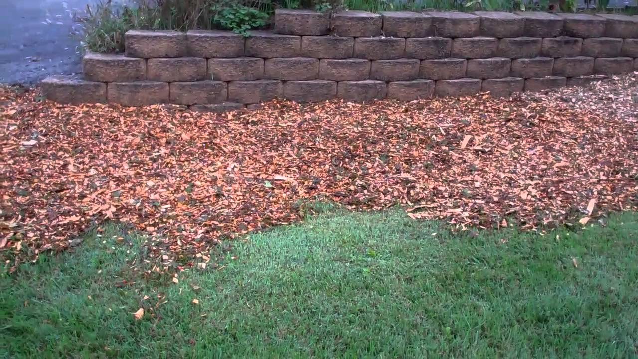 Back to Eden style lawn care with wood chips YouTube