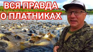 Как Обманывают на Платных Водоемах/4 Схемы Обмана - 7 