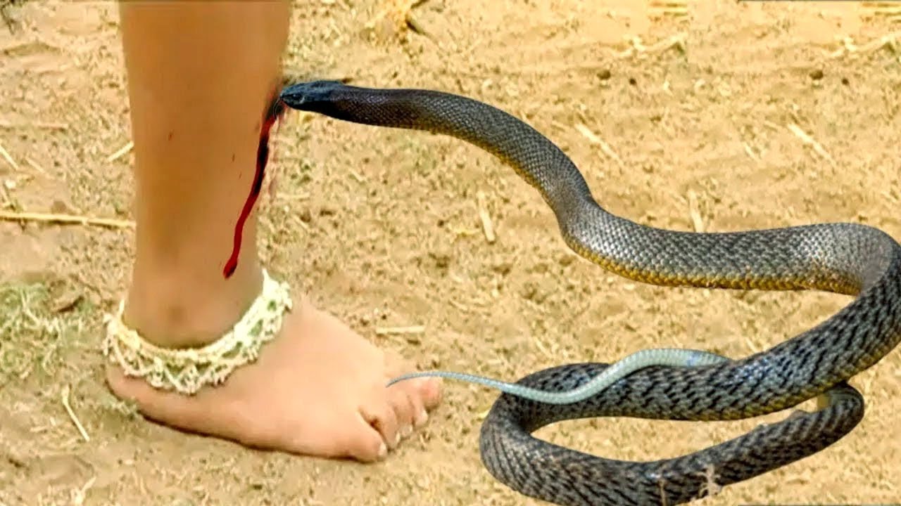 नागकन्या | Naag kanya | नागो की रक्षक छोटी नागिन की चमत्कारी कहानी @kivitv616