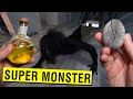 WE CREATED A MONSTER WITH SUPER STRENGTH POTION AND AN EGG!! (ACTUALLY WORKED)