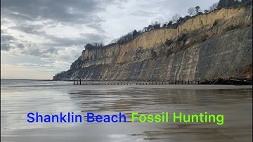 Fossil Hunting on Shanklin Beach, Isle Of Wight