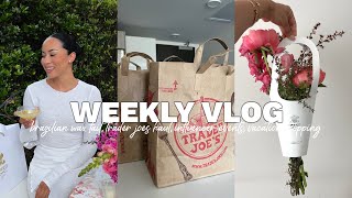 VLOG: living in la, brazilian wax fail, trader joes haul, influencer events, vacation shopping