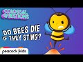 Understanding Honeybee Stings