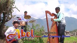 HERMANO ABEL Y  SU ARPA-JARDINCITO        EN VIVO 2016 chords