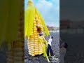 افكار لتصوير نفسك بطريقة احترافيه