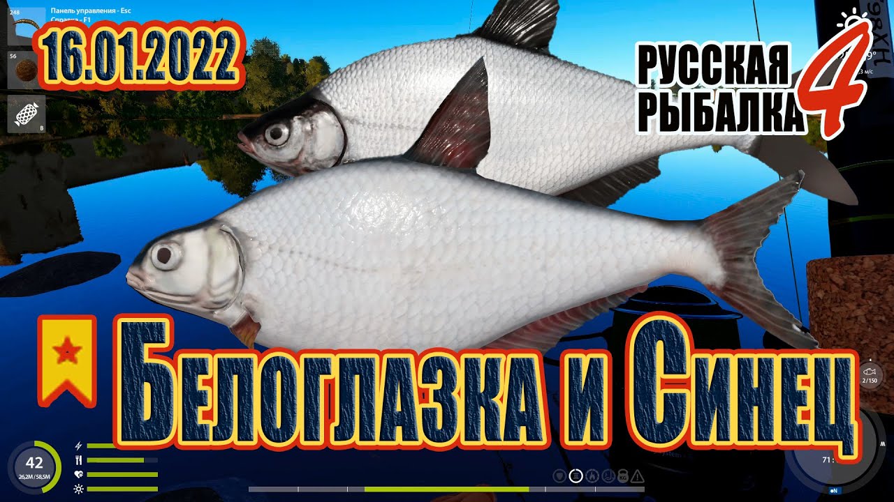 Рр3 белоглазка волга