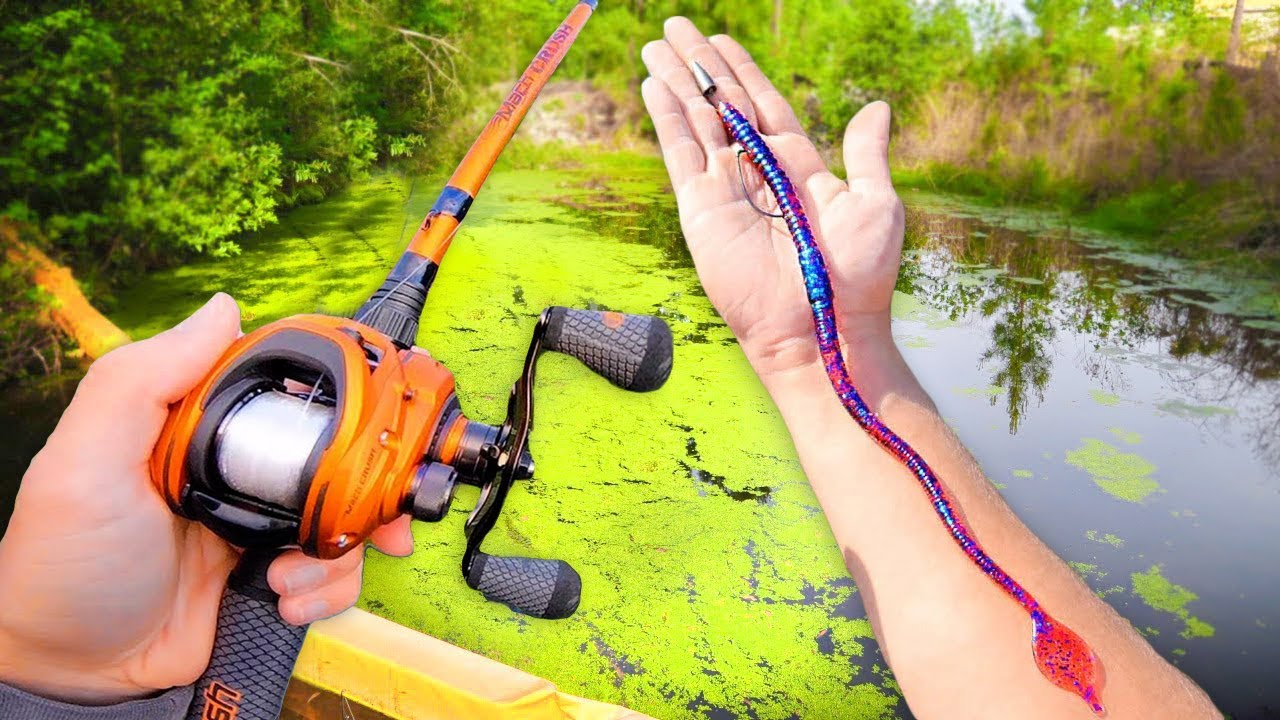 Watch BEST Day of POND Fishing! (LOADED w/ GIANT Bass) Video on