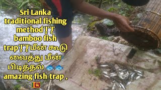 Sri Lanka traditional fishing method||bamboo fish trap||மீன் கூடு வைத்து? பிடித்தல் amazing fishtrap
