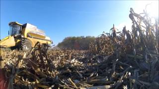 (gopro) moissons de maïs grain 2016