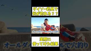 オールダイソー釣り具で釣りをしてみると #アナハゼティ #釣り#料理  #shorts