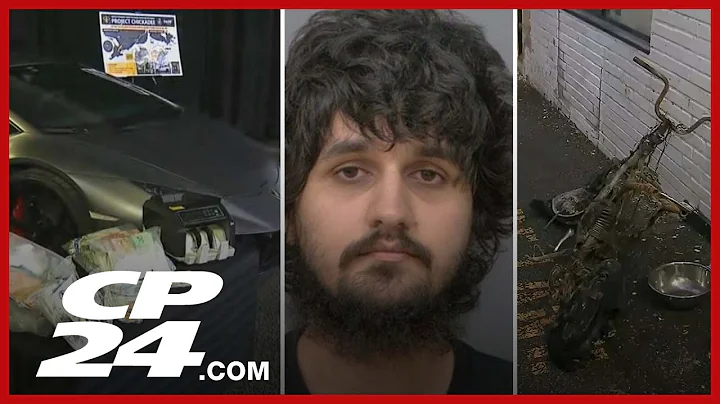 306 stolen vehicles recovered, man charged with terrorism-related offences | CP24 weekly roundup