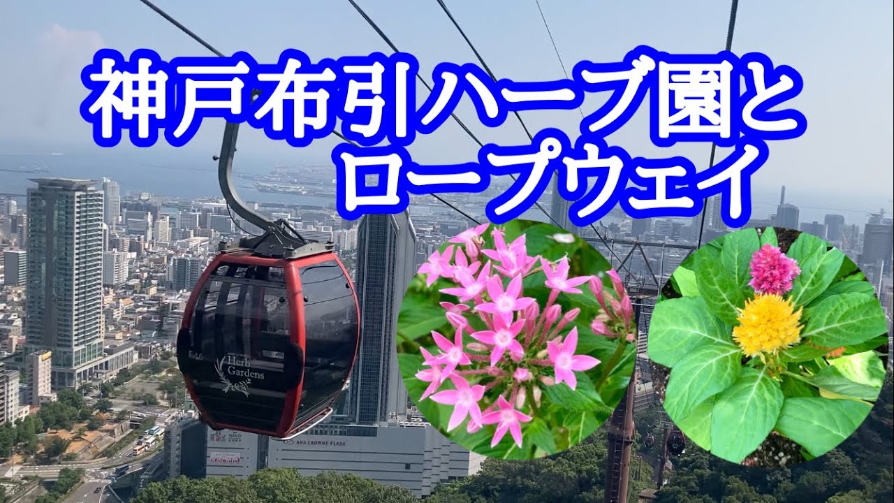 神戸布引ハーブ園とロープウェイ