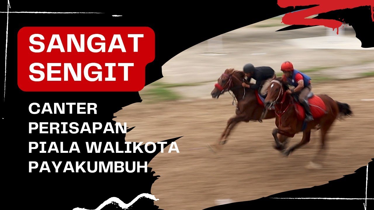 CANTER, SEMINGGU MENJELANG PACU KUDA WALI KOTA PAYAKUMBUH CUP
