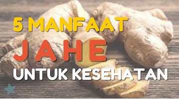 5 Manfaat Jahe untuk Kesehatan, wajib anda tahu karena banyak yang belum tahu