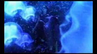 Yasmine Tamara Crazy