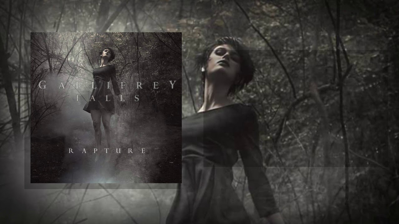 Gallifrey Falls - Contact (Lyric Video)