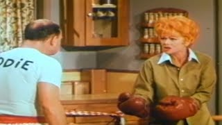 Famous The Lucy Show Wealth