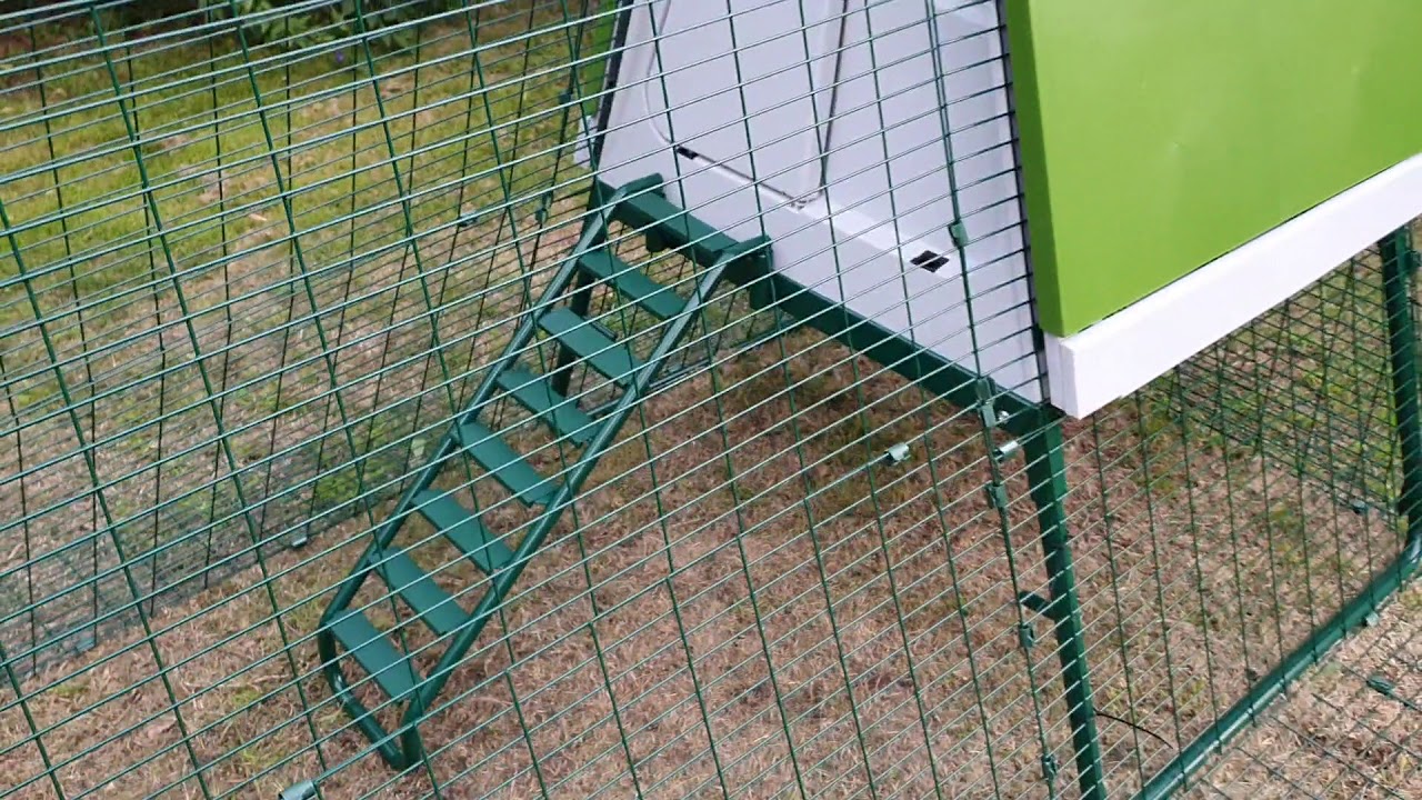 Eglu Omlet Chicken Coop and Run Review YouTube