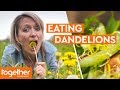 Is Eating Dandelions Good for You? | Super Foods: The Real Story