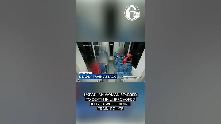 Surveillance released after Ukrainian woman stabbed to death on train in Charlotte, North Carolina