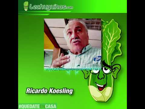 Ricardo Koesling: "Guaidó eres un ladrón, renuncia maldito"