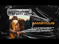 [SOLD] Sad Acoustic Guitar Type Beat [Amaryllis] Instrumental 2022