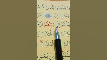 سورة الجاثية الأية 14 إلى 16 بصوت سعد الغامدي