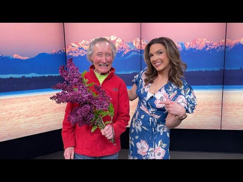 Video: Skäl till syrenblommor som inte luktar