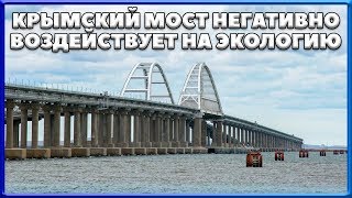 КРЫМСКИЙ МОСТ негативно воздействует на экологию. КУРОРТНАЯ ПЯТИЛЕТКА КРЫМА. Керченский мост.