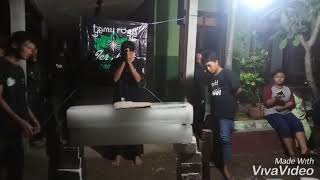 Tapak sirih,,losh gak rewel.TEMU ROSE sektor ngawi utara...