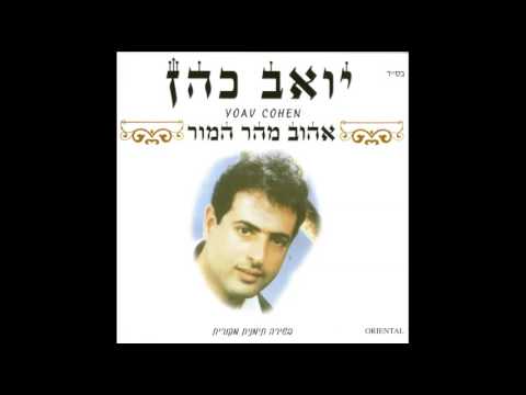 יואב כהן דעסה 