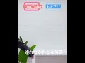 [woollim THE LIVE 3.5] Y&주찬's Choice 日本語訳 日本語字幕 和訳
