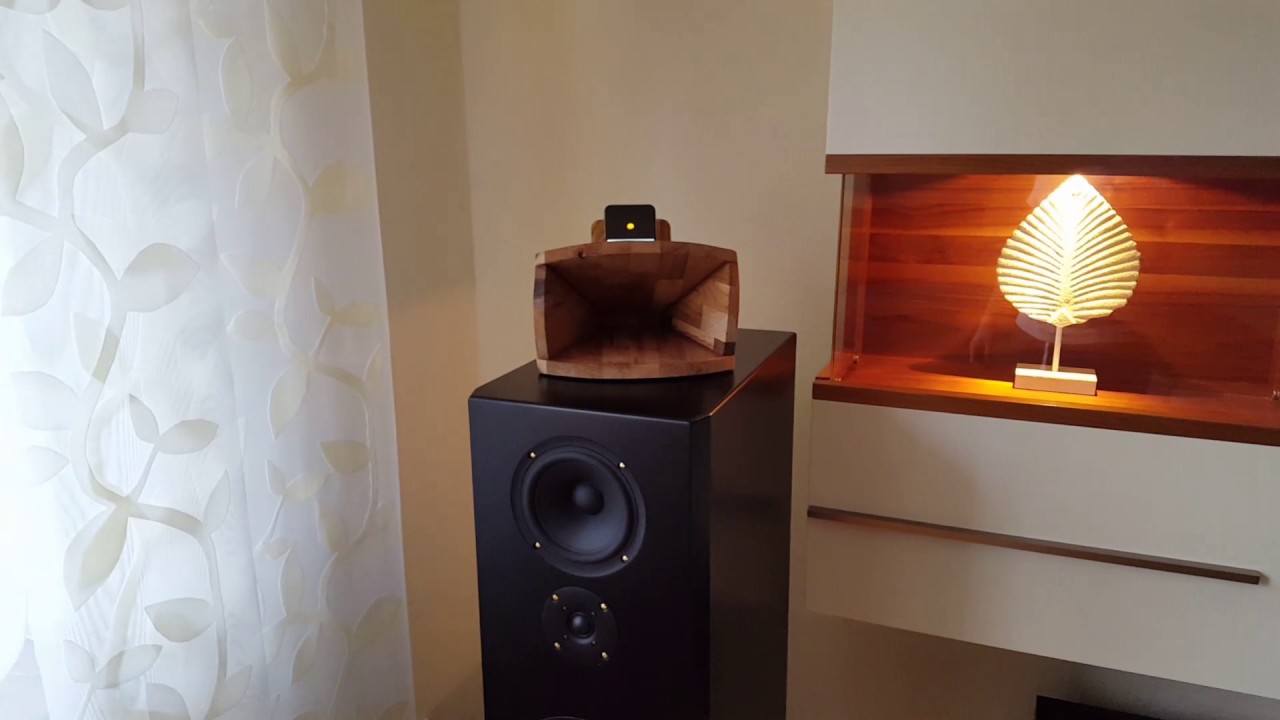 IPhone Speaker DIY Horn selbstbau Lautsprecher Verstärker