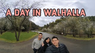 Our Walhalla Day Trip in 360