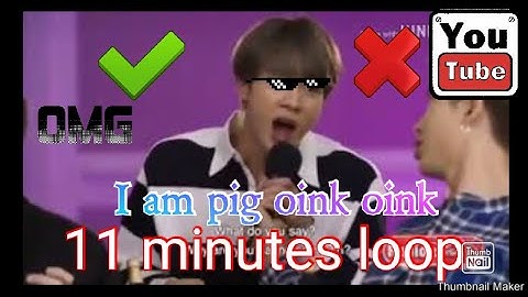 BTS - JIN "I AM PIG OINK OINK"  LOOP FOR 11 MINUTES STRAIGHT