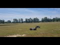 Arrma Kraton 6s VS Arrma Kraton 4s Action Packed 🏎🏎💨💨💨