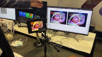 AiM Future EVS 2022 NeuroMosAIc Processor Multi-Model Vision Demo
