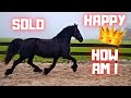 Sold a horse😢 | Buy a helmet? | Happy Queen👑Uniek!! | How am I doing? | Friesian Horses