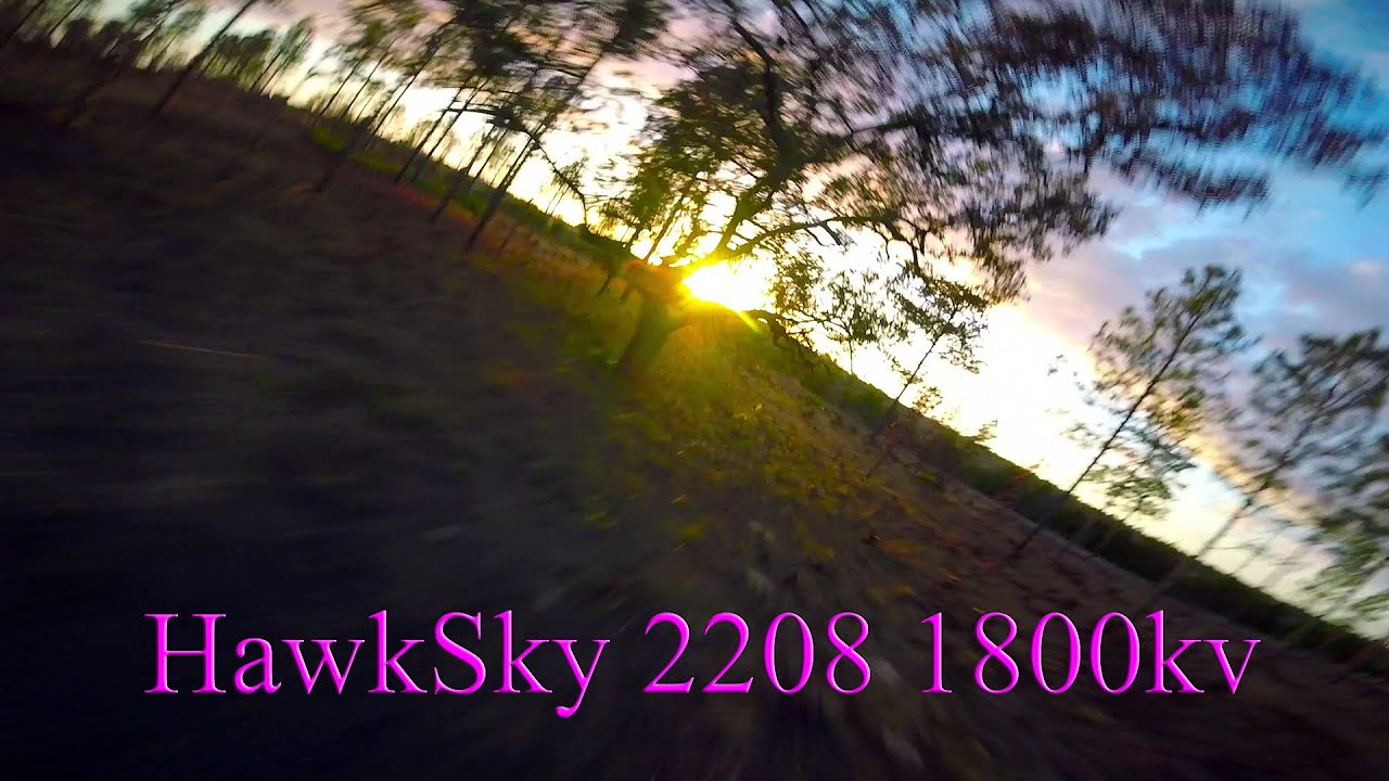 Hawksky 2208 1800kv Dal cyclone 5046