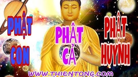 Tại sao Chùa Tân Diệu nói |Phật được phân cấp thành phật cả phật huynh phật con|phải hiểu làm sao
