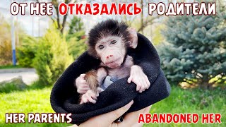 ИСТОРИЯ маленькой обезьянки ЛЮСИ! THE STORY OF THE LITTLE MONKEY LUCY!