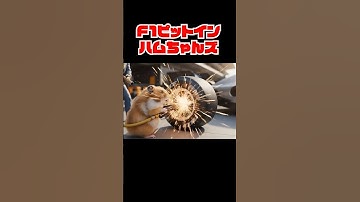 ハムワングランプリ🐹 #ai #veo3 #hamster #animals #癒し #f1 #shorts